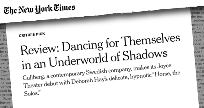 New York Times Review